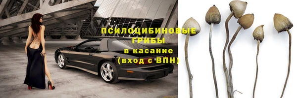 ECSTASY Арсеньев