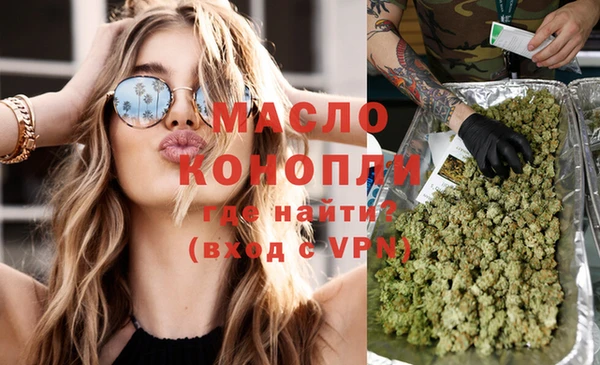 дмт Алексин